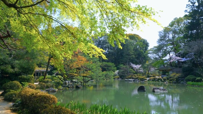 Japanese gardens gallery 3