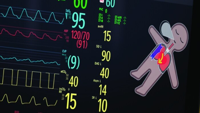 Visual Patient Avatar